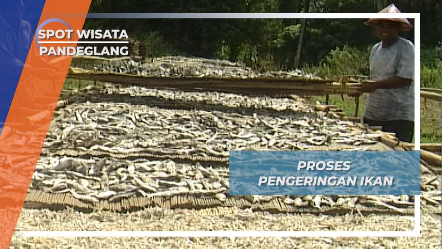  Proses Pengeringan Ikan Asin Bebas Formalin, Pandeglang