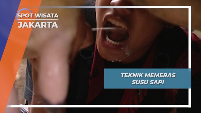 Teknik Memeras Susu Sapi, Jakarta
