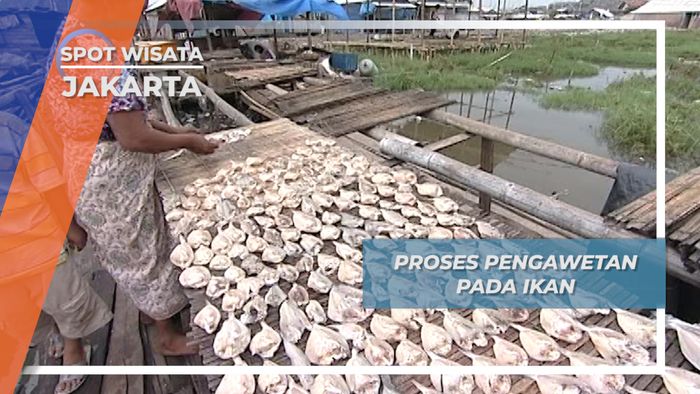 Pengawetan Ikan Agar Tahan Lama, Jakarta