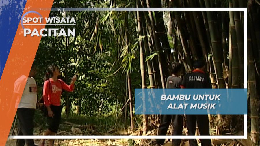 Bambu Tapuk, Alat Musik Khas dari Pacitan, Pacitan, Jawa Timur