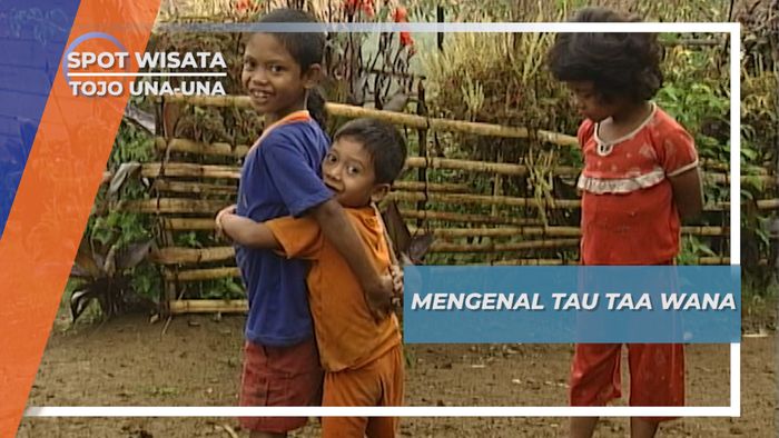 Mengenal Tau Taa Wana, Suku Pedalaman Tojo Una-una Sulawesi