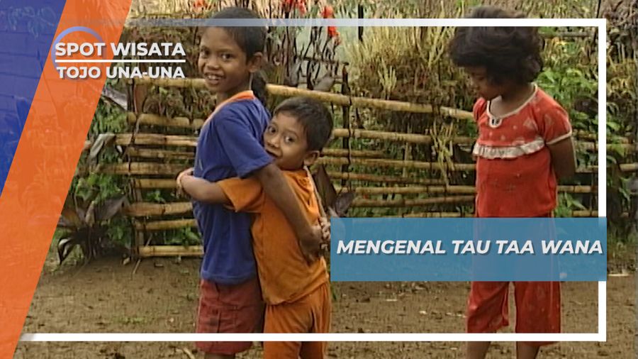 Mengenal Tau Taa Wana, Suku Pedalaman Tojo Una-una Sulawesi
