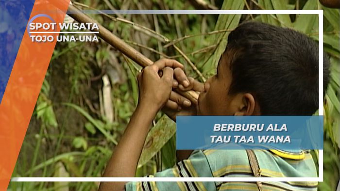 Mencari dan Berburu Hewan, Cara Memanfaatkan Alam Sekitar ala Suku Tau Taa Wana, Tojo Una-una