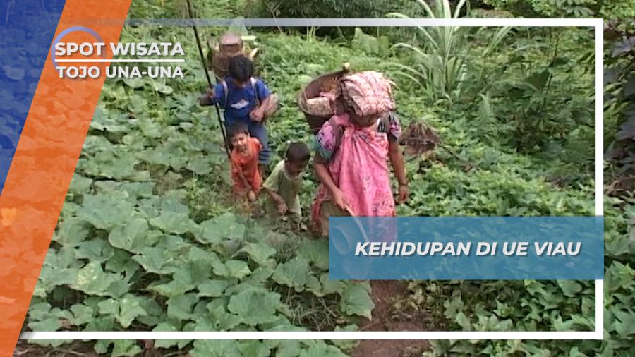 Kehidupan di Ue viau, Tojo Una-una, Sulawesi