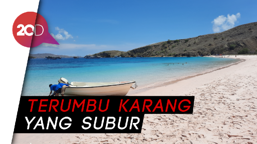 Cantiknya Bawah Laut Labuan Bajo di Long Beach dan Pulau Kanawa