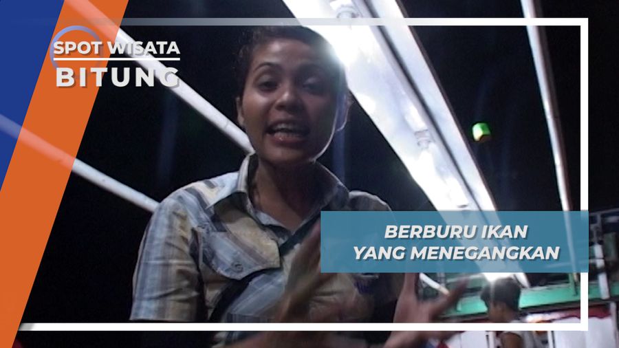 Cahaya Lampu Memanggil, Ikan Ku Tangkap di Bitung Sulawesi Utara