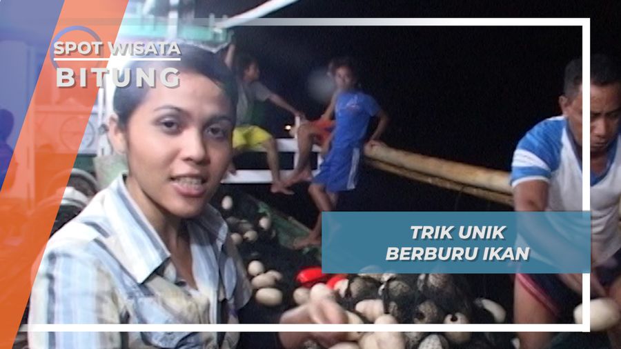 Jaring Raksasa Ditarik Otot Kawat Bertulang Besi, Kehandalan Nelayan Bitung Sulawesi Utara