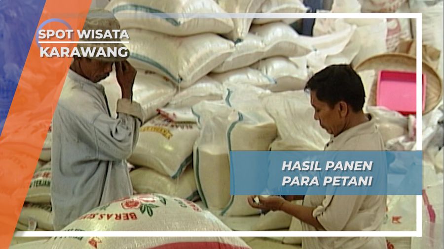 Hasil Panen Para Petani, Karawang