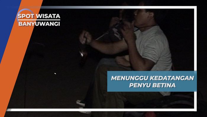 Gelap-gelapan Sambil Menunggu Kedatangan Penyu Betina, Banyuwangi