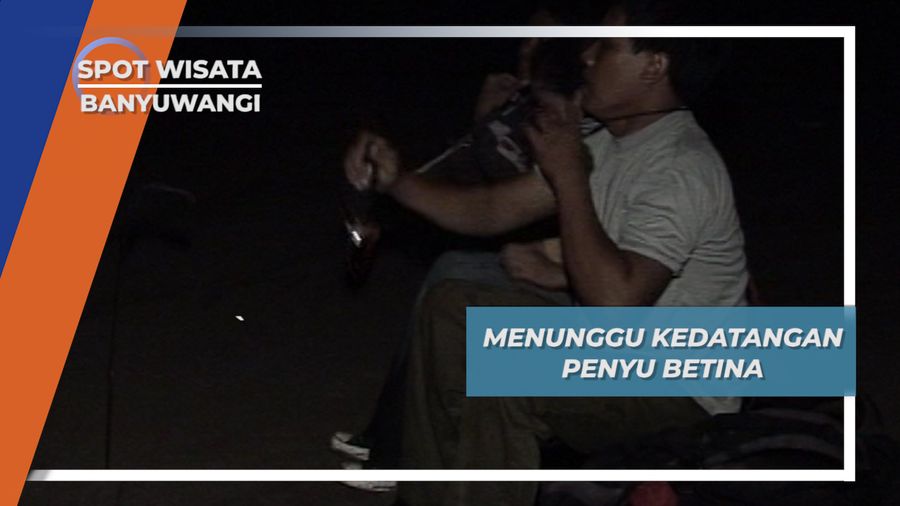 Gelap-gelapan Sambil Menunggu Kedatangan Penyu Betina, Banyuwangi