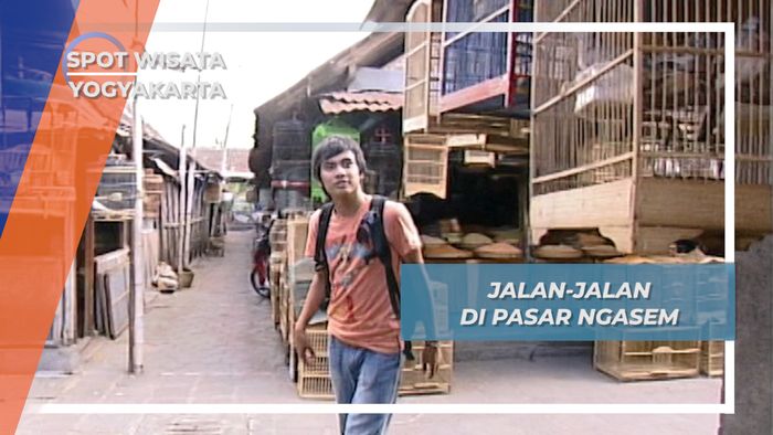 Kicau Merdu dan Strata Sosial ala Pasar Burung Ngasem Yogyakarta