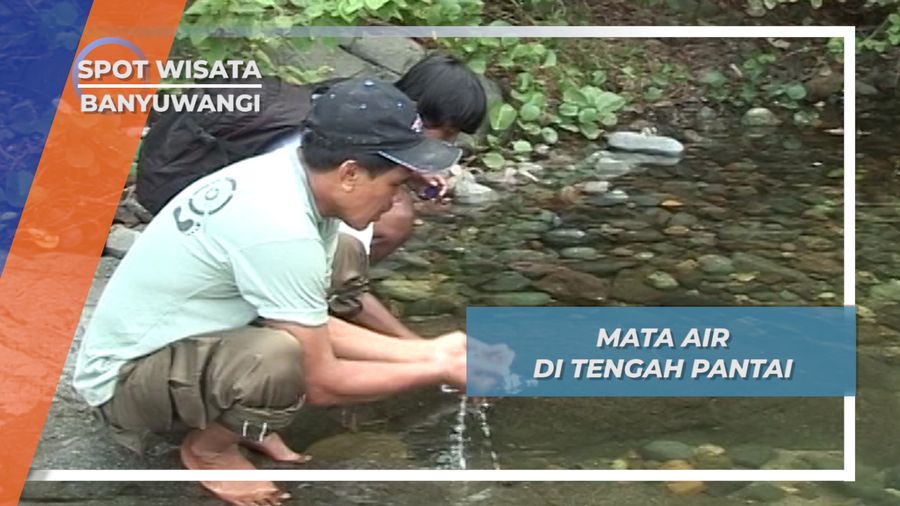 Mata Air Tawar di Tengah Pantai Taman Nasional Merubetiri Banyuwangi