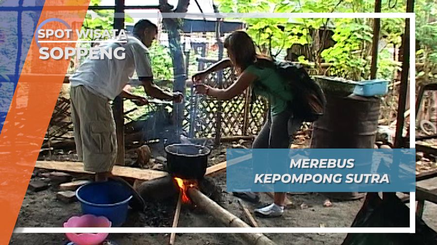 Merebus Kepompong Membunuh Ulat, Mengurai Serat Sutra Soppeng Sulawesi Selatan 