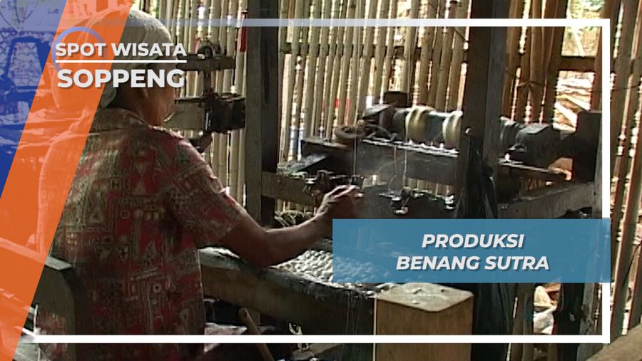 Si Daun Terong, Penarik Si Ujung Benang Serat Halus Sutra Soppeng Sulawesi Selatan 