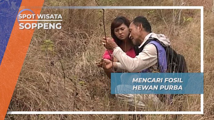 Fosil Gajah Purba Pra Sejarah di Soppeng Sulawesi Selatan 