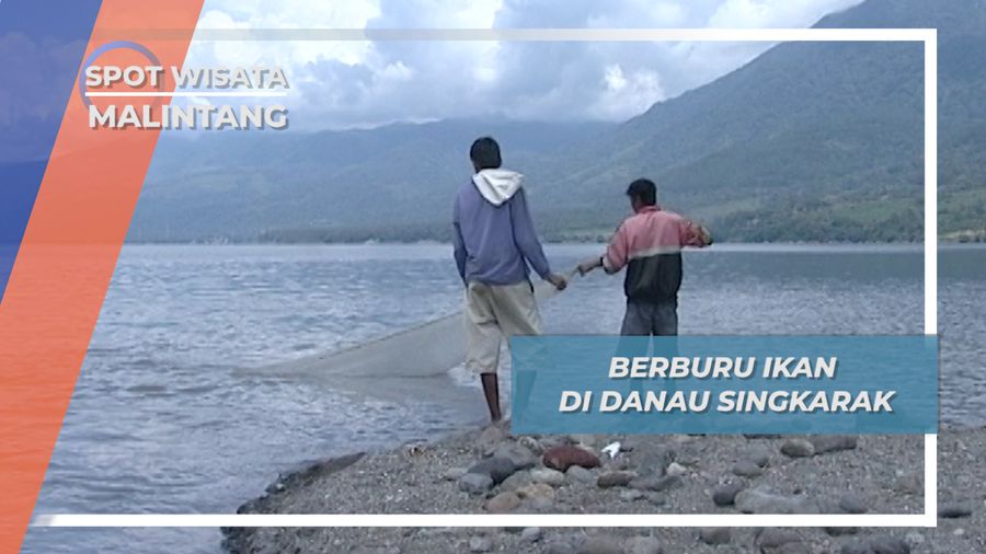 Ikan Bilis, Si Iblis Gurih Nikmat Penghuni Danau Singkarak Agam Sumatera Barat