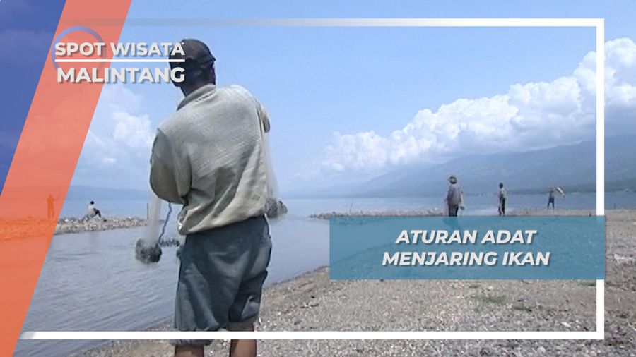 Aturan Adat Menjaring Ikan Bilis, Muaro Mati Sempur Malintang Sumatera Barat