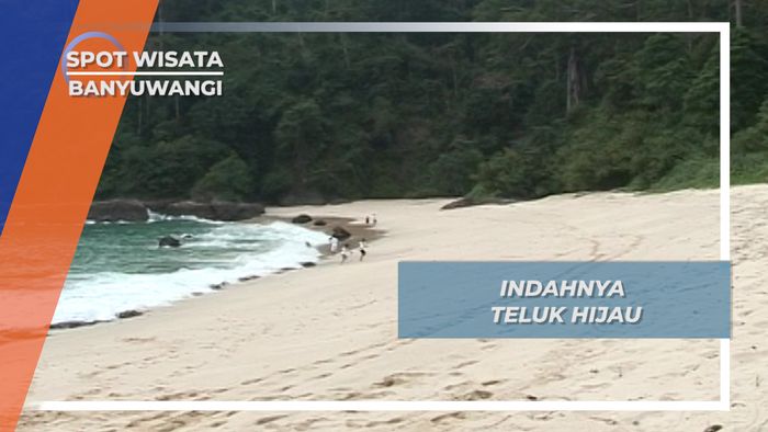 Menikmati Indahnya Pesona Teluk Hijau, Banyuwangi