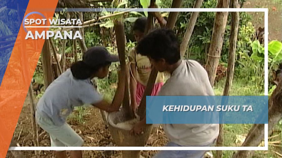 Tau Taa Wana,  Suku Tertua di Pedalaman Hutan Balingara Sulawesi Tengah