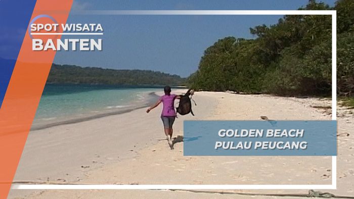 Golden Beach Pulau Peucang 600 Meter Bibir Pantai Indah Ujung Kulon Banten