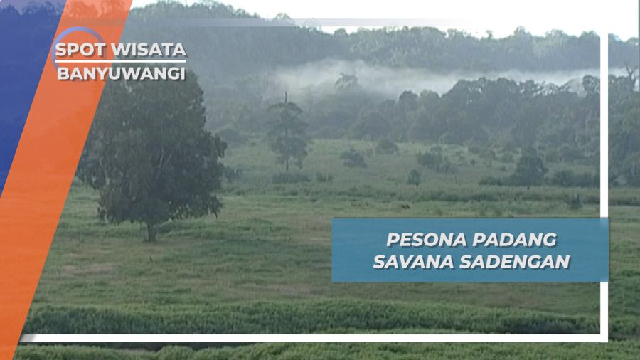 Padang Savana Sadengan, Pesona Lukisan Alam Cakrawala Banyuwangi