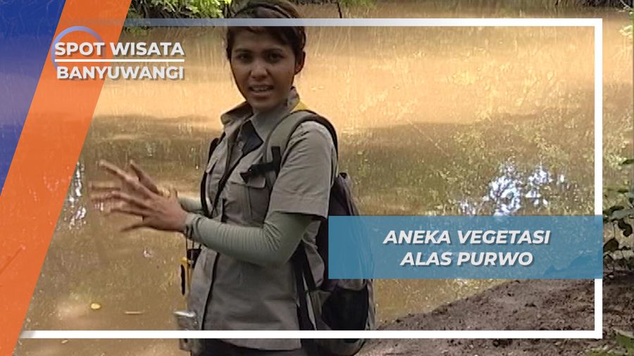 Aneka Vegetasi Kekayaan Flora Hutan Alas Purwo Banyuwangi
