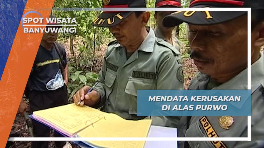Mencatat Pohon Hutan yang Tumbang Di Alas Purwo Banyuwangi