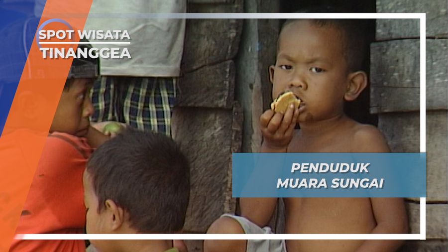 Hidup dengan Alam di Muara Sungai Lanowulu Tinanggea, Sulawesi Tenggara