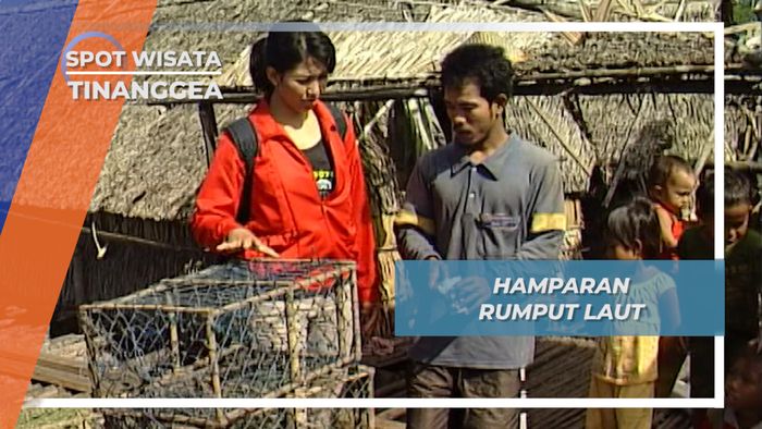 Budidaya Rumput Laut Masyarakat Tinanggea, Sulawesi Tenggara