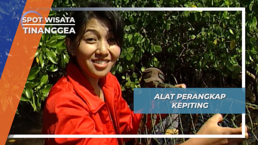 Bubu Kepiting Muara Sungai Lanowulu, Penghasilan Yang Besar di Tinanggea Sulawesi Tenggara