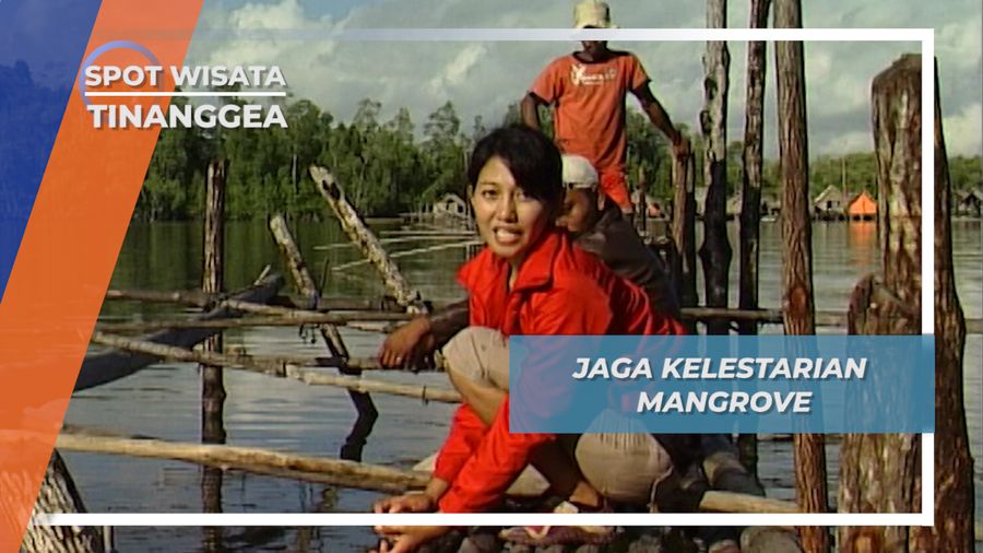 Togo, Jaring Ramah Lingkungan Yang Diletakan Pada Pasorong di Muara Sungai Lanowulu