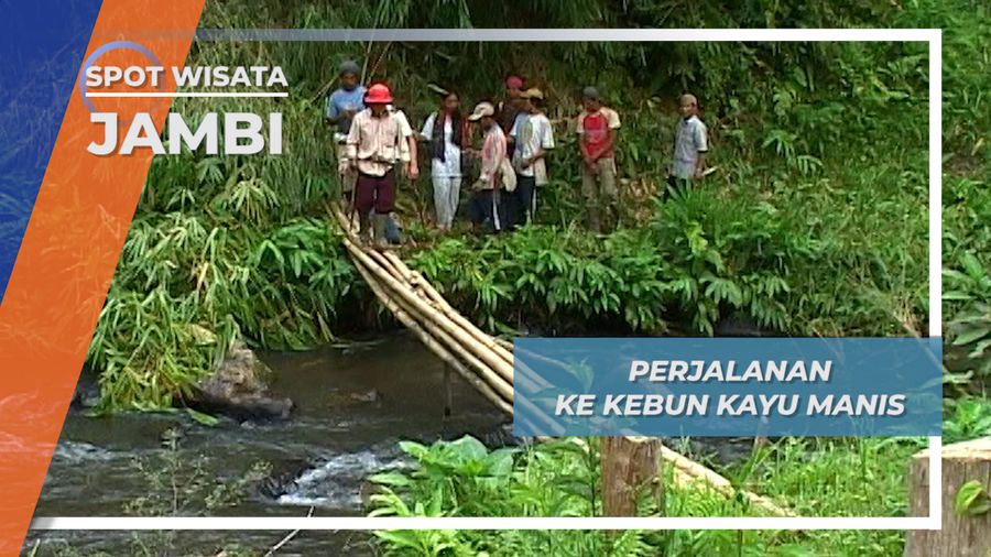 Kebun Kayu Manis, Keseharian Warga Kerinci, Jambi