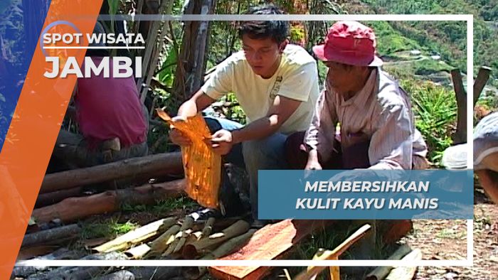 Pembersihan Kulit Kayu Manis, Proses yang Butuh Ketelitian, Jambi