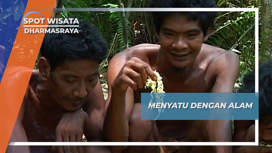 Melangun cara Suku Anak Dalam Bertahan Hidup, Dhamasraya, Sumatera Barat