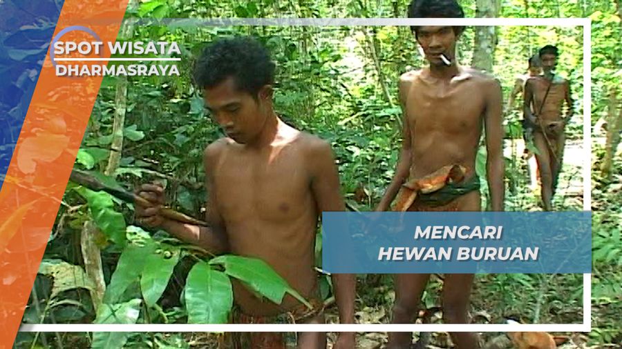 Menemani Berburu Suku Anak Dalam, Dhamasraya, Sumatera Barat