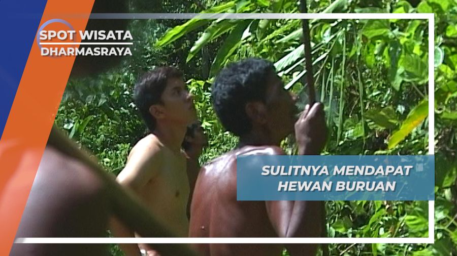 Sulitnya Suku Anak Dalam Mendapat Hewan Buruan, Dhamasraya, Sumatera Barat