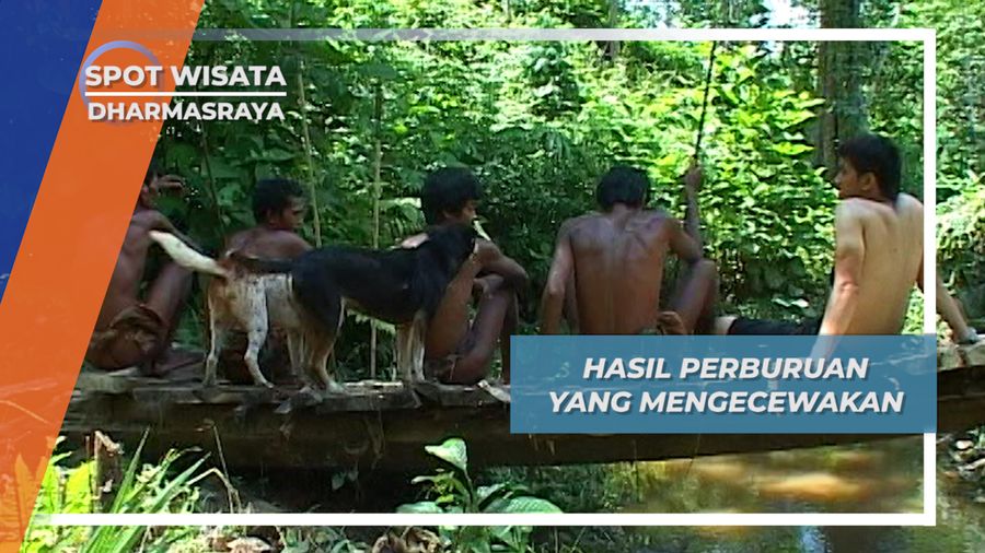 Terpaksa Menahan Lapar, Karena Tidak Dapat Hewan Buruan, Dhamasraya