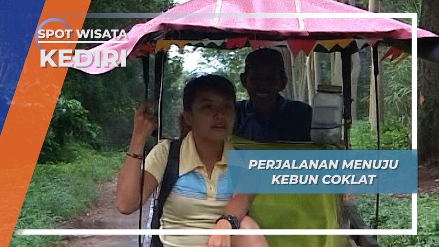 Perjalanan Menuju Kebun Coklat di Kaki Gunung Kelud, Kediri