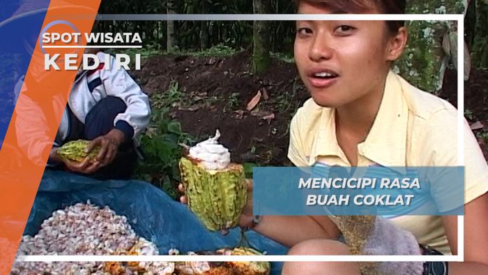 Bukan Manis atau Legit ini Rasa Buah Cokelat yang Sesungguhnya, Kediri