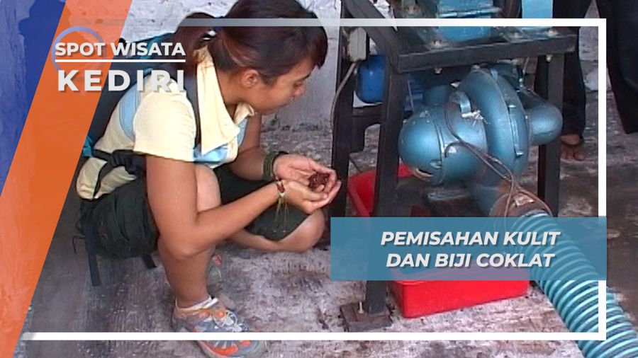 Menggunakan Mesin Penggiling Pemisahan Biji dan Kulit Cokelat Dilakukan, Kediri