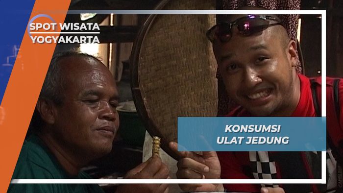 Ulat Jedung, Menggelikan Namun Kelezatannya Tiada Tara, Yogyakarta