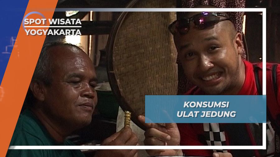 Ulat Jedung, Menggelikan Namun Kelezatannya Tiada Tara, Yogyakarta