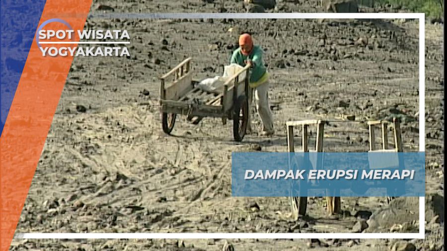 Dampak Erupsi Besar Merapi Yang Lalu di Kaliadem Yogyakarta