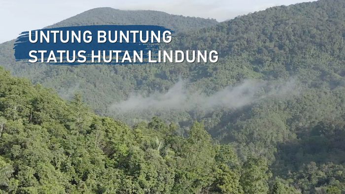 Untung Buntung Hutan Lindung di Perbatasan Aruk