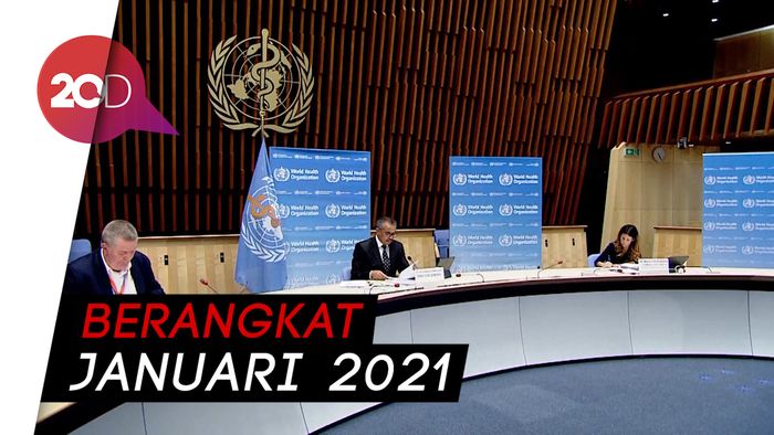 WHO Bakal Datang ke Wuhan untuk Penyelidikan Virus Corona 