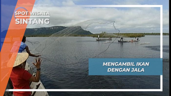 Menebar Jalan, Memanen Ikan Danau Sentarum Sintang Kalimantan Barat