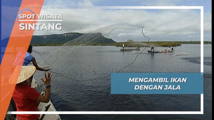 Menebar Jalan, Memanen Ikan Danau Sentarum Sintang Kalimantan Barat