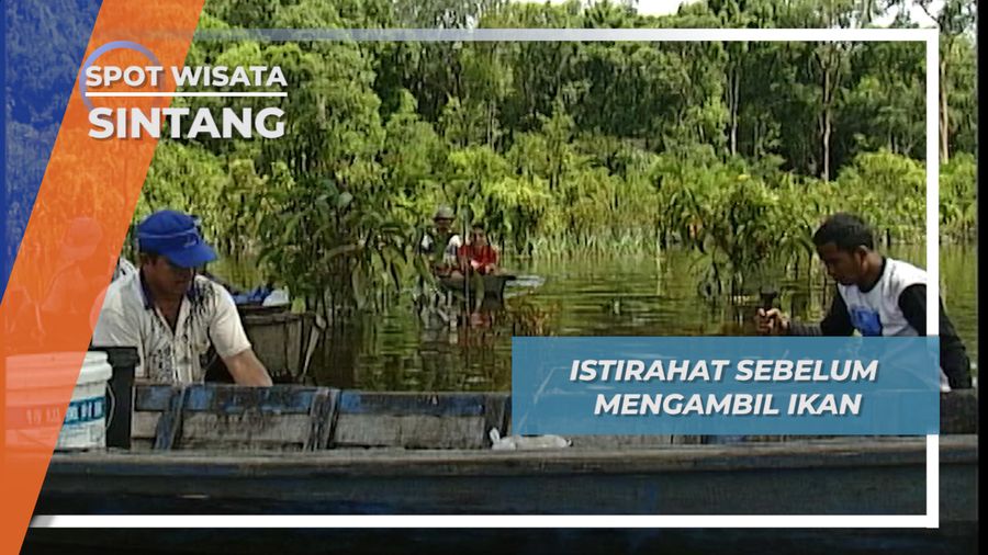 Menyiangi Ikan Di Siamg Hari Terik Sembari Istirahat ala Danau Sentarum Sintang 