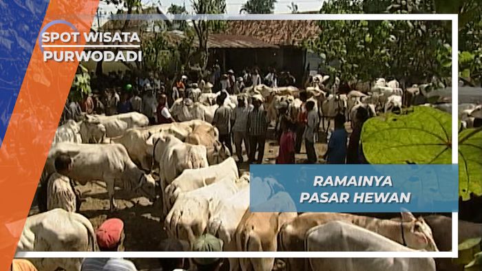 Ramainya Pasar Hewan Kalongan Danyang Purwodadi Jawa Tengah