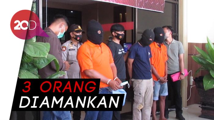 Gagalnya Penyelundupan 40 Ribu Benur di Jambi Seharga Rp 6 M